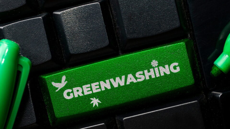 More Than 810 Companies Have Removed Misleading Anti-Paper Statements in Response to Two Sides Global Anti-Greenwash Campaign